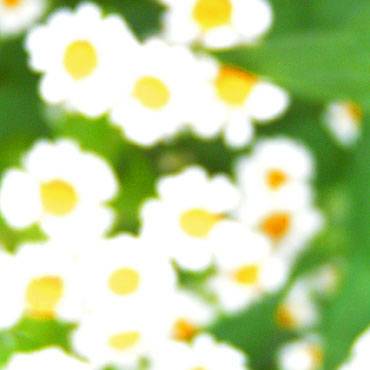 Ou faire décalaminer son moteur MINI chez Hautot et Fils